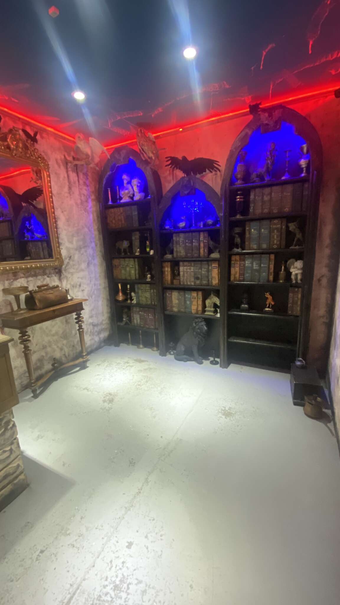 Décor médiéval du Château Noir avec bibliothèque et objets anciens